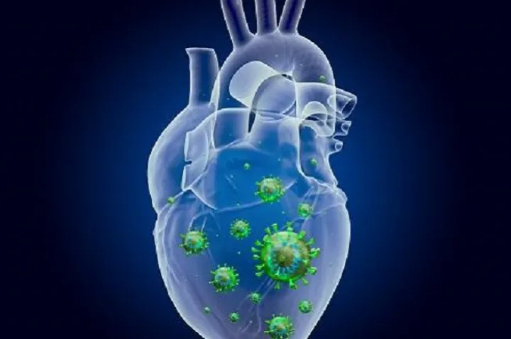 كوويد۱۹ احتمال مرگ ناشی از مشكل قلبی را افزايش می‌دهد