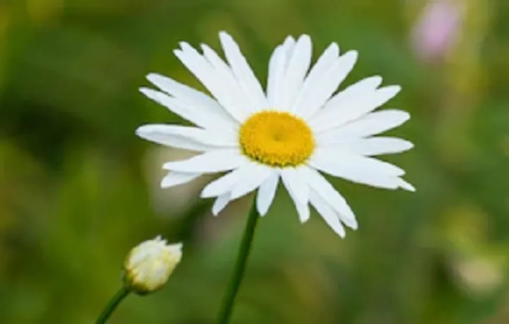 زیستن در گذشته، عین مرگ است و دیگر هیچ