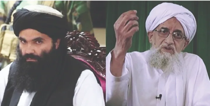 کشتن ایمن الظواهری آغاز دوره‌ی جدید برای طالبان؟ تحلیلگران افغان چه می‌گویند؟