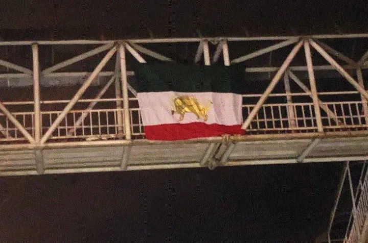 زن ایرانی-کانادایی از تجربه‌ شرکتش در تظاهرات ایران می‌گوید