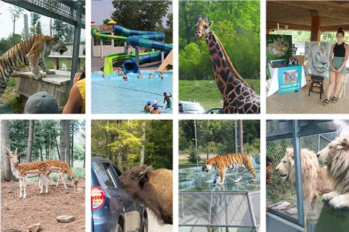 پارک سافاری مونترژی، حیات وحش سه قاره در یکجا