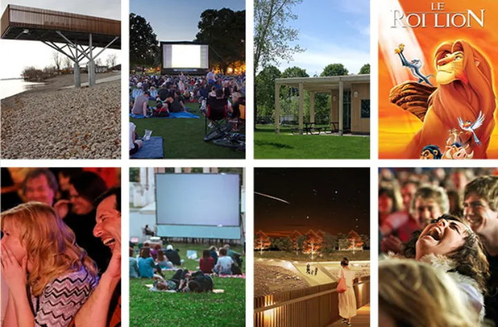 یک زیرانداز بیاور، راحت لم بده و شیرشاه ببین یا لب ساحل نشین و گذر ستارگان را ببین