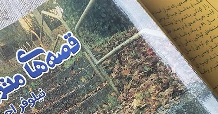 در این محیط فرصت‌هایی مهیا شد