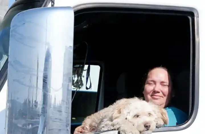 رانندگان کبکی روز به روز کم‌حوصله‌تر و خطرناک‌تر می‌شوند