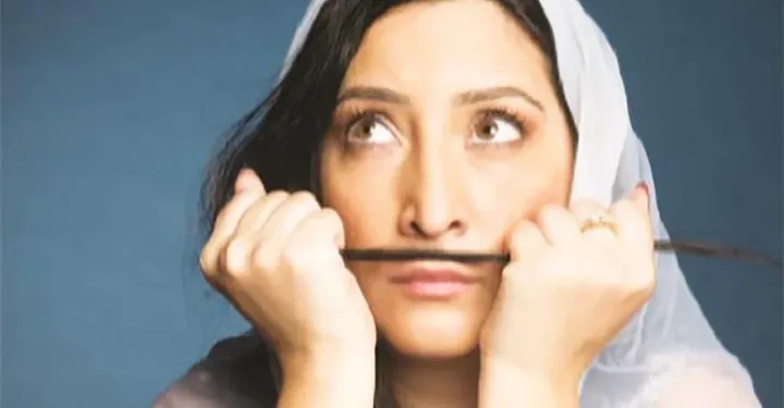 رمان بهاران بنی‌احمدی در مونترال منتشر می‌شود