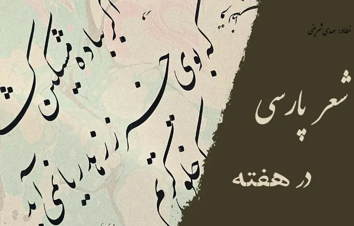 دو غزل از مهدی افضلی گروه