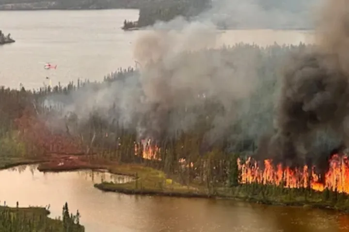 ساکنان مناطق جنگلی می‌توانند خطرات آتش‌سوزی را کاهش دهند
