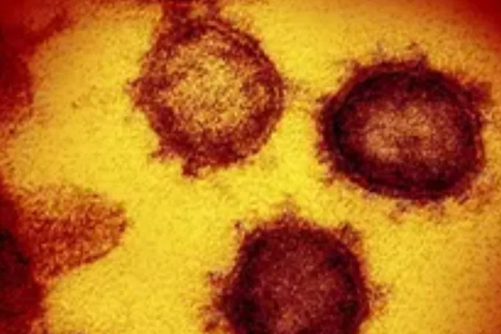 از زیرسویه جدید کووید چه می‌دانیم؟