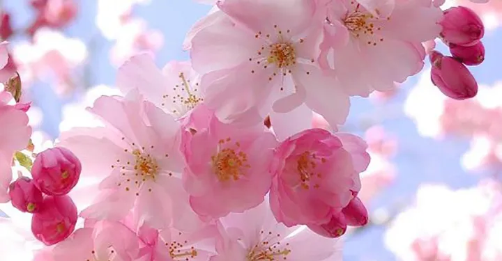 از خوانندگان: سروده‌هایی از مرجان شاهوران