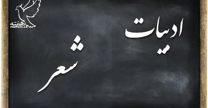 ‌سروده‌هایی از منصور لطفی‌هروی