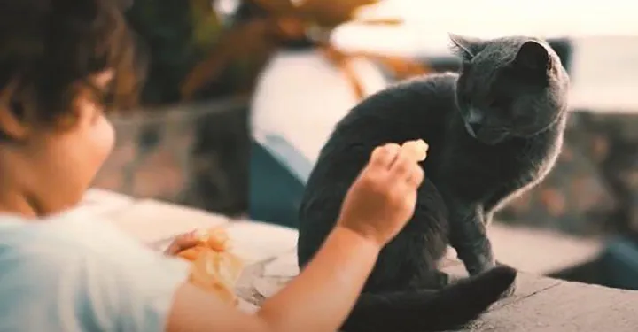 از خوانندگان هفته: نامه‌‌ای برای آناهیتا