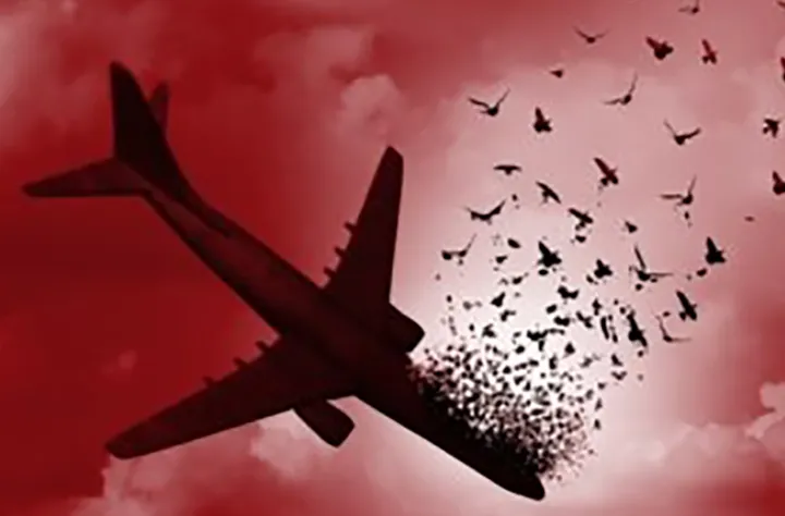 رونمایی از خاطرات تعدادی از خانواده‌های جان‌باختگان پرواز پی‌اس۷۵۲