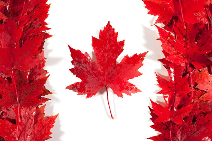 عوامل جمهوری اسلامی در کانادا را باید بی‌آبرو کرد