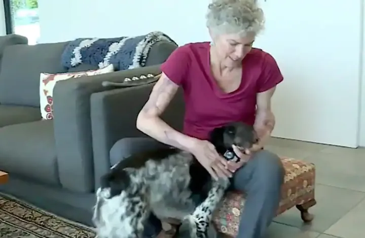 نیم میلیون دلار غرامت به یک زن کبکی به‌خاطر حمله سگ‌ها