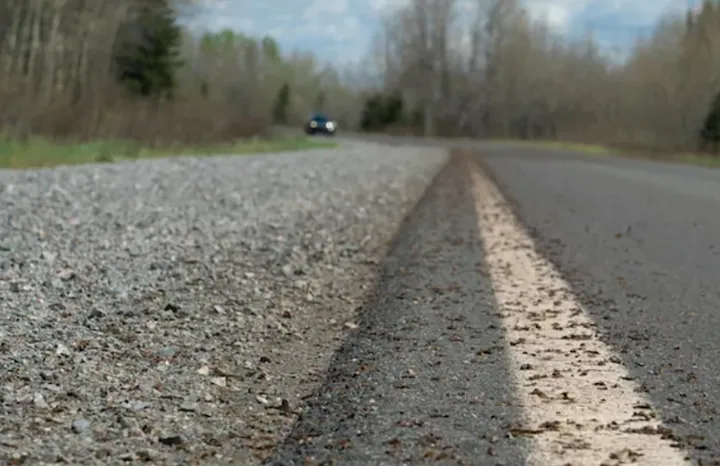 وقتی کرم‌های پیله ساز، ماشین چپ می‌کنند