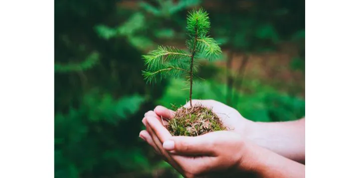 با کدامین اشک بگریم …