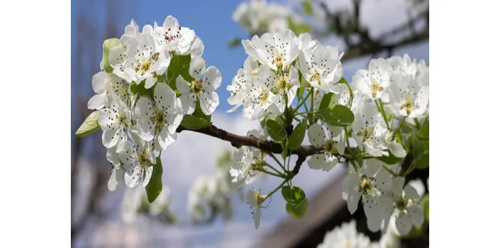 نوروز، امید، شادی و دیگر هیچ…