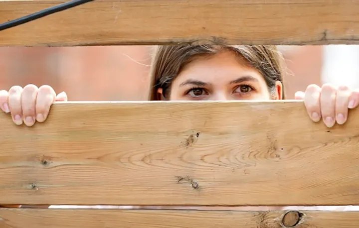 اکثر کبکی‌ها با همسایه‌های خود روابط خوبی دارند