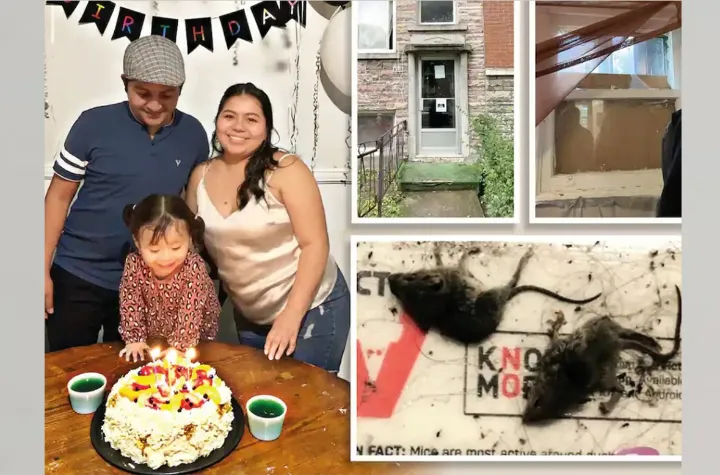 به علت آلودگی خانه به موش و کرم، صاحب‌خانه به پرداخت ۳۵۰۰ دلار به مستأجر محکوم شد