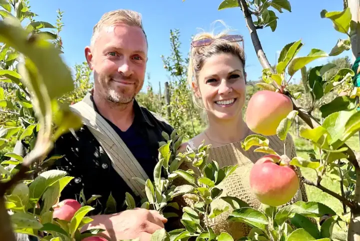 برداشت فوق‌العاده سیب در کبک؛ برای سیب چیدن می‌توانید به این باغ بروید