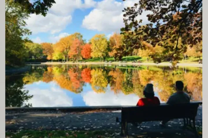سمفونی پاییز جادویی مونترال را در این مکان‌ها تماشا کنید