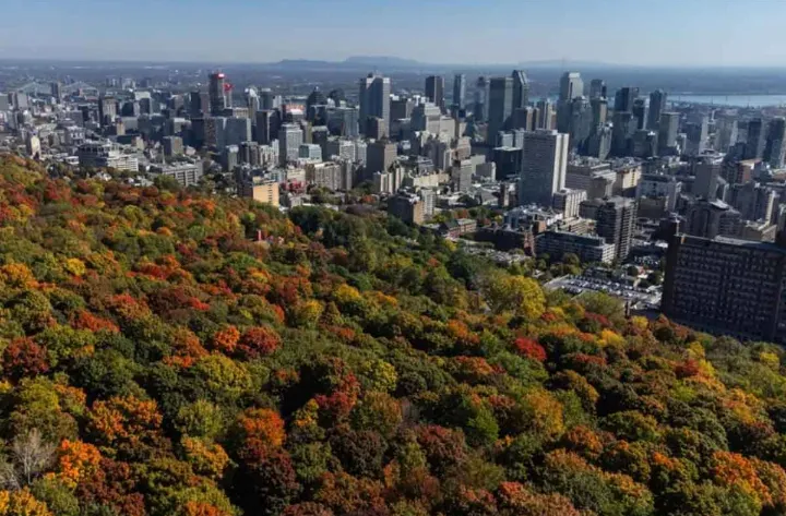 مونترالی‌ها 171 روز دمای کمتر از 4 درجه را تجربه نکردند