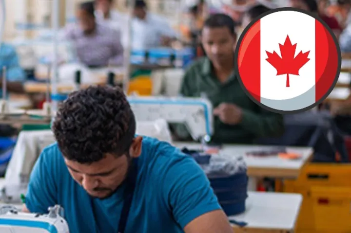 آیا ترامپ مشاغل کانادایی را به خطر خواهد انداخت؟ 