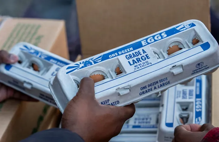 بحران تخم‌مرغ در آمریکا؛ چرا کانادا نادیده گرفته شد؟