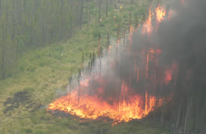 وسعت آتش از شهر تورنتو بزرگ‌تر شده